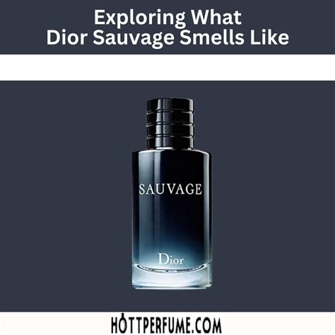 what does dior sauvage smell like reddit|what does Dior Sauvage smell like.